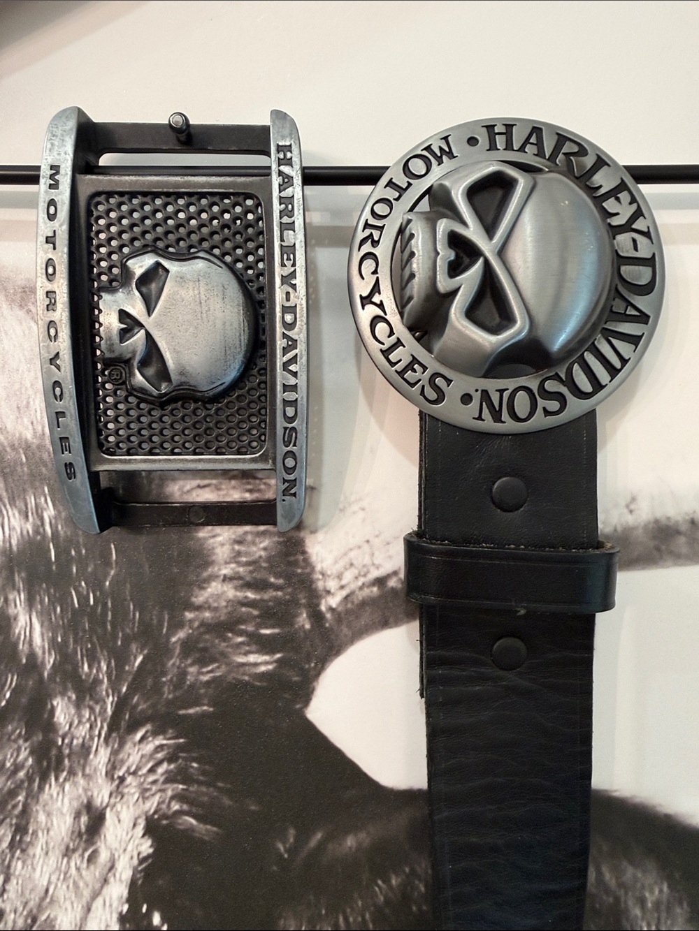 💀 Harley-Davidson Interchangeable Buckle Leather Belt